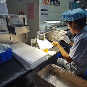 智能注塑技术提升PET瓶坯生产效率